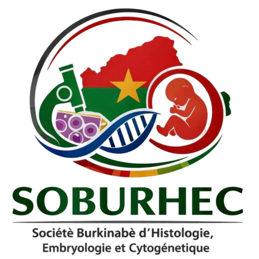 cropped-SOBURHEC-Photoroom.png